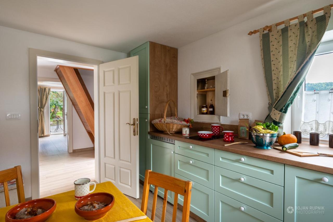 Cherry House - Cosy House - Ideal For Bear Watching, In The Neighborhood Of The Medieval Sneznik Castle Stari Trg pri Lozu Extérieur photo