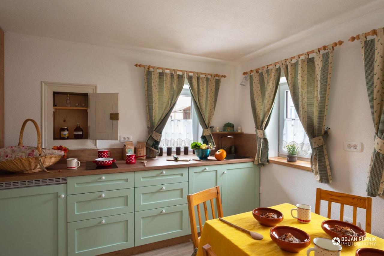 Cherry House - Cosy House - Ideal For Bear Watching, In The Neighborhood Of The Medieval Sneznik Castle Stari Trg pri Lozu Extérieur photo