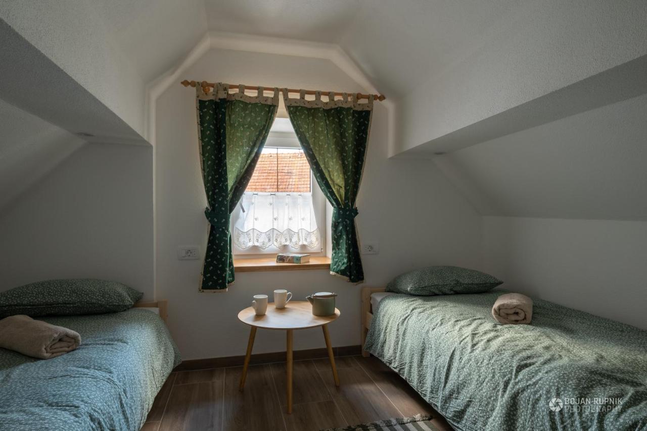 Cherry House - Cosy House - Ideal For Bear Watching, In The Neighborhood Of The Medieval Sneznik Castle Stari Trg pri Lozu Extérieur photo
