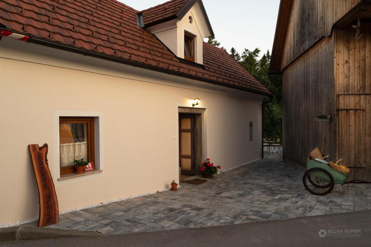 Cherry House - Cosy House - Ideal For Bear Watching, In The Neighborhood Of The Medieval Sneznik Castle Stari Trg pri Lozu Extérieur photo