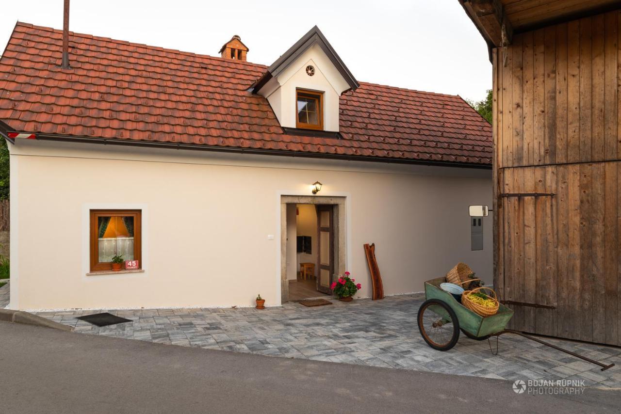 Cherry House - Cosy House - Ideal For Bear Watching, In The Neighborhood Of The Medieval Sneznik Castle Stari Trg pri Lozu Extérieur photo