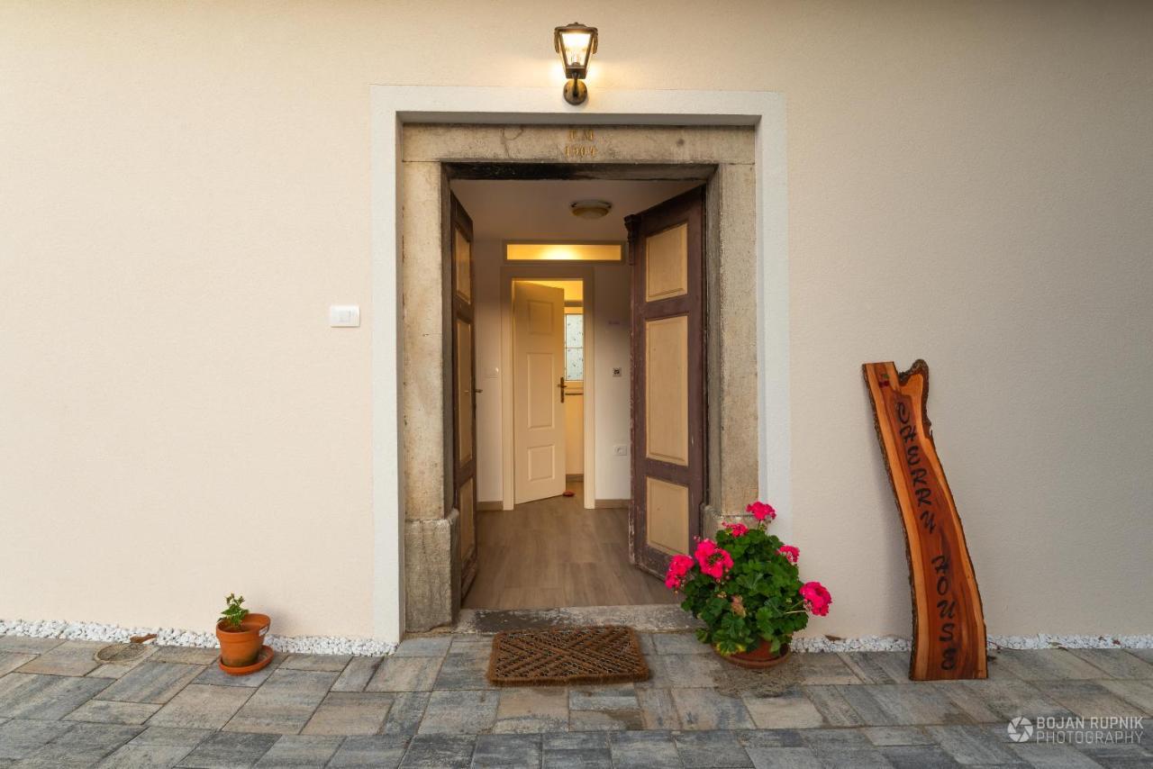 Cherry House - Cosy House - Ideal For Bear Watching, In The Neighborhood Of The Medieval Sneznik Castle Stari Trg pri Lozu Extérieur photo