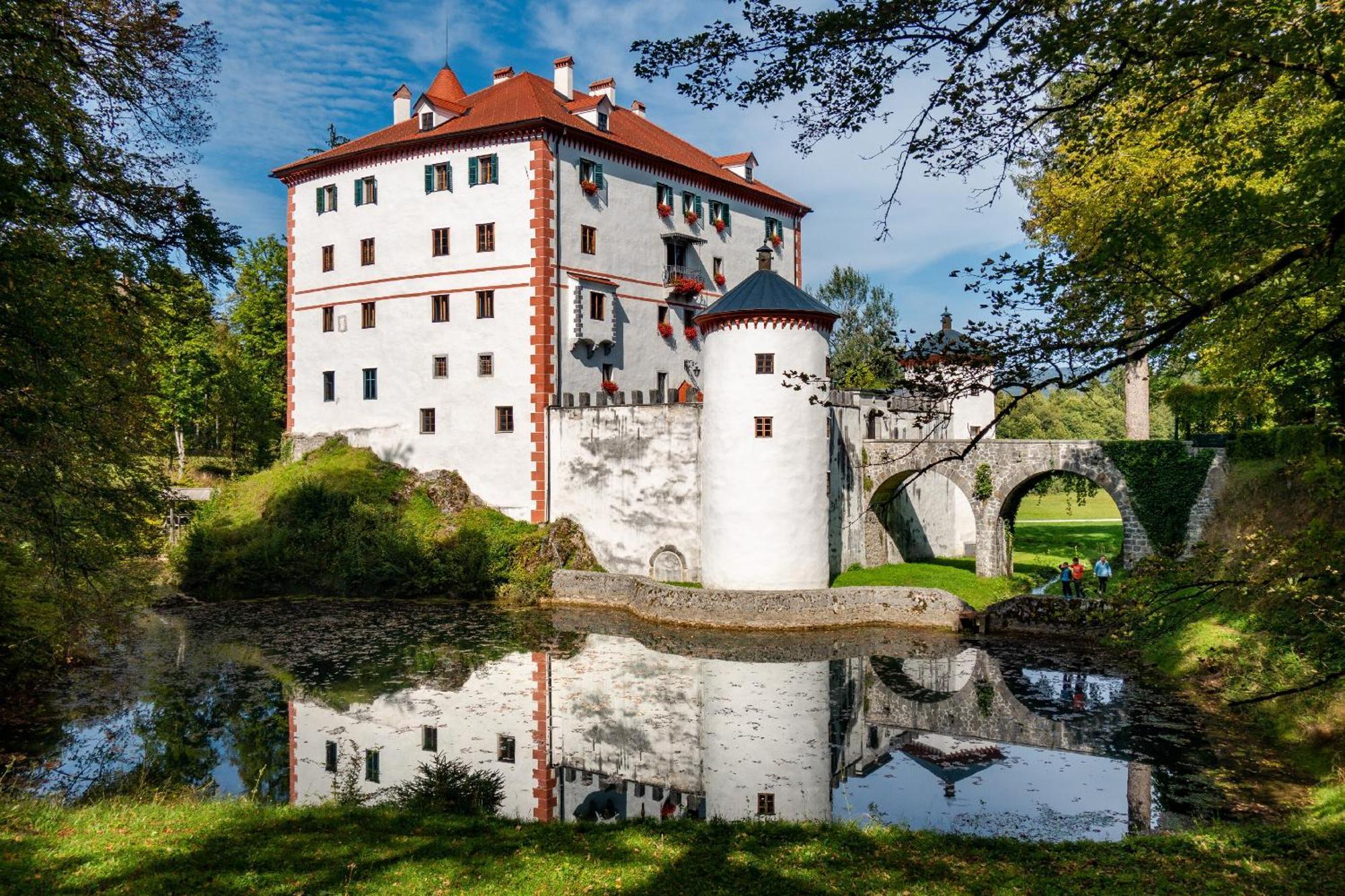 Cherry House - Cosy House - Ideal For Bear Watching, In The Neighborhood Of The Medieval Sneznik Castle Stari Trg pri Lozu Extérieur photo